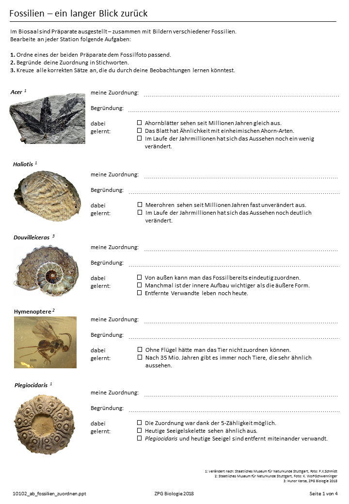 Präsentation - Folie 1