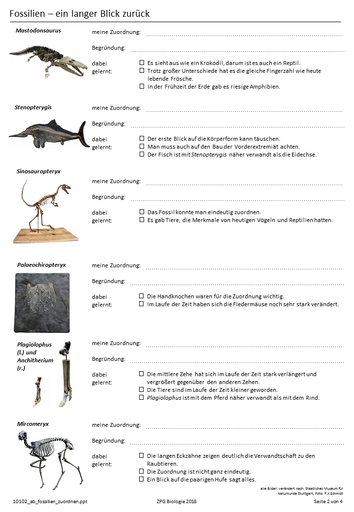 Präsentation - Folie 1