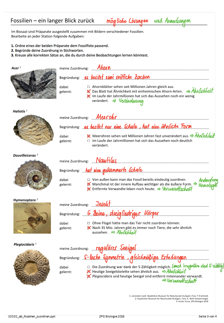 Präsentation - Folie 3