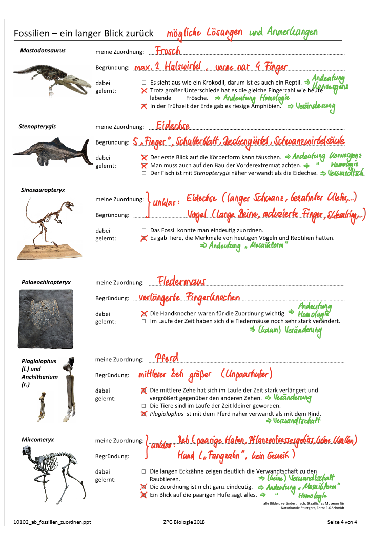 Präsentation - Folie 4