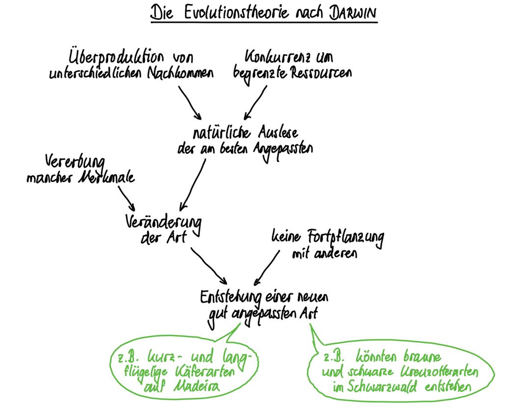 Möglicher Tafelanschrieb