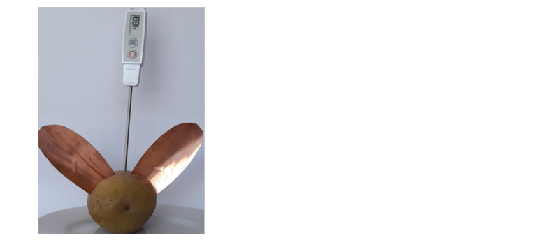 Kartoffeln mit Ohren