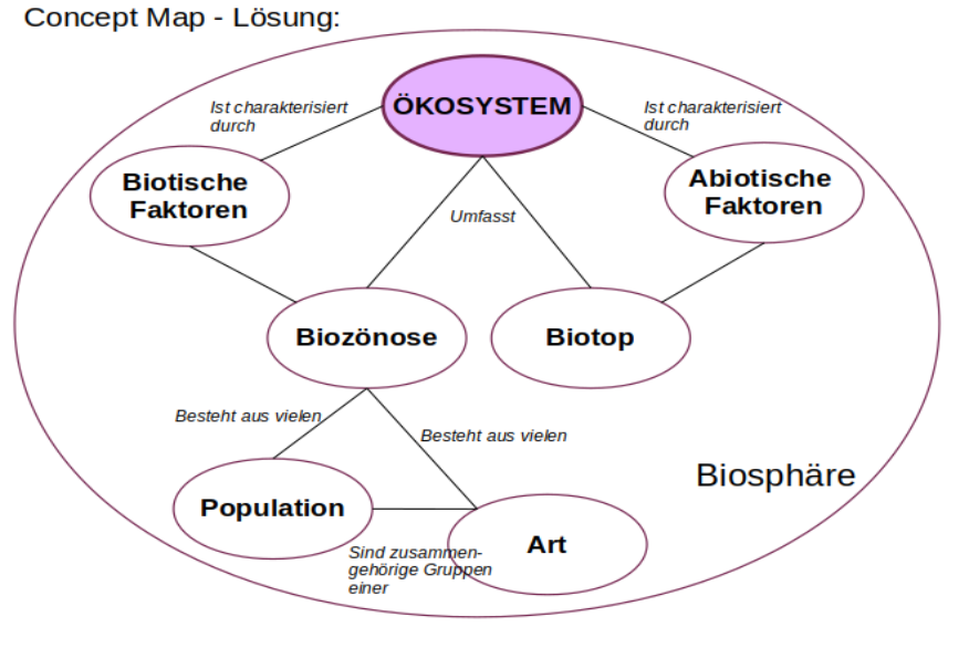 Schema Ökosystem Lösung