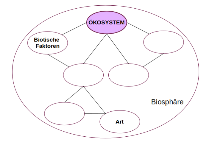 Schema Ökosystem