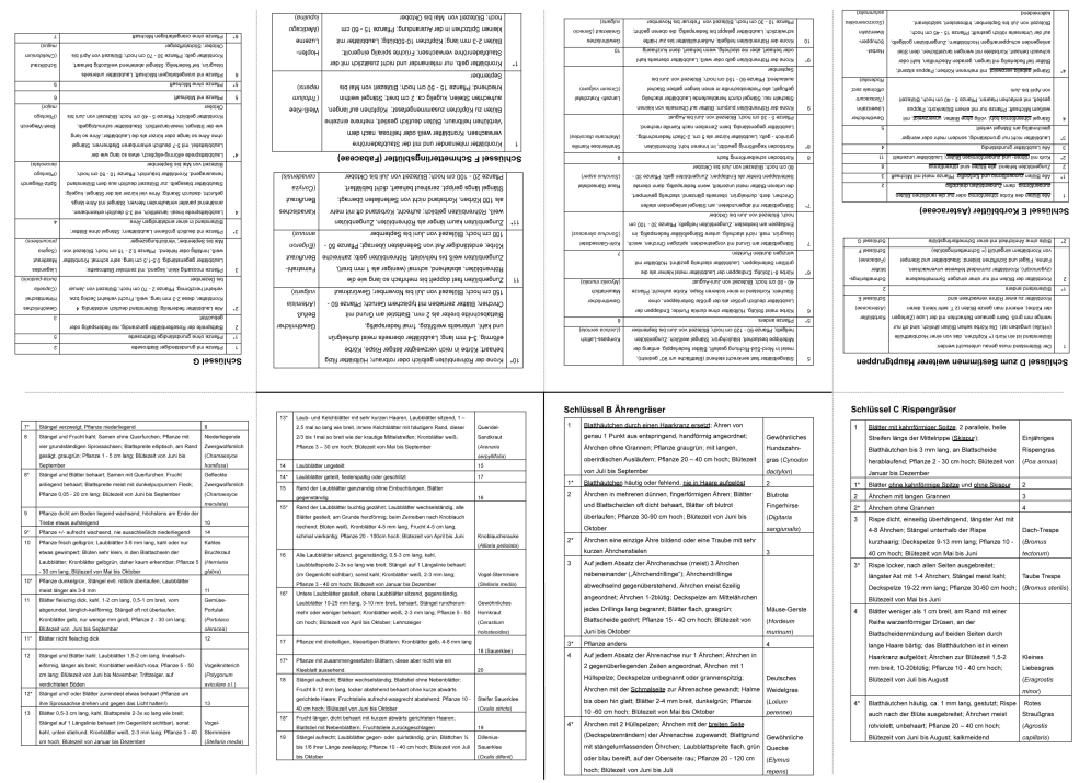 Kopiervorlage Buddybook