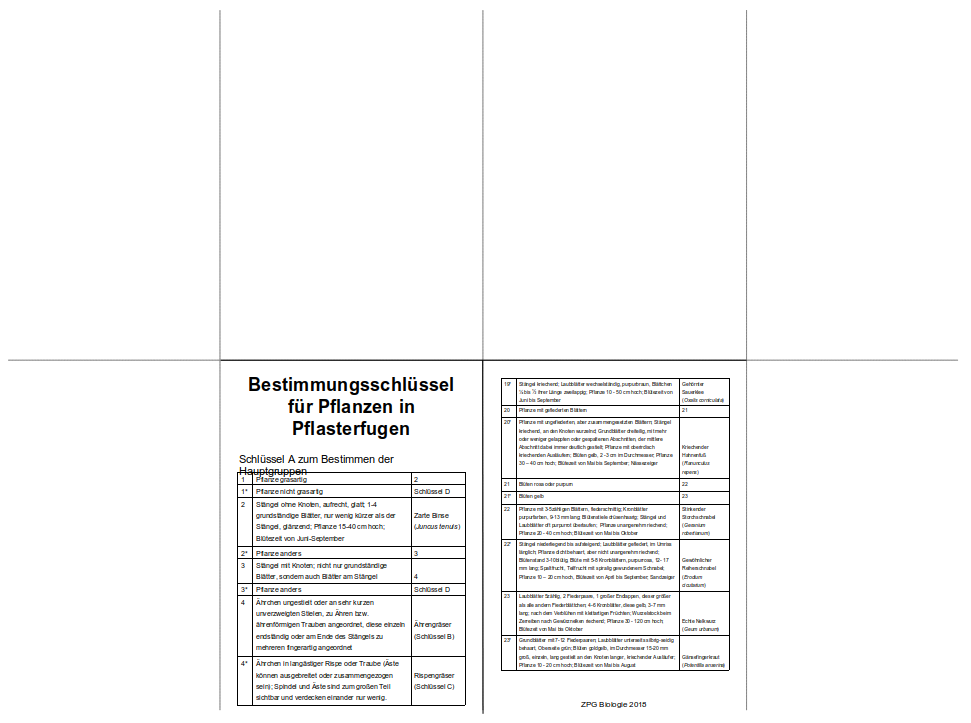 Kopiervorlage Buddybook
