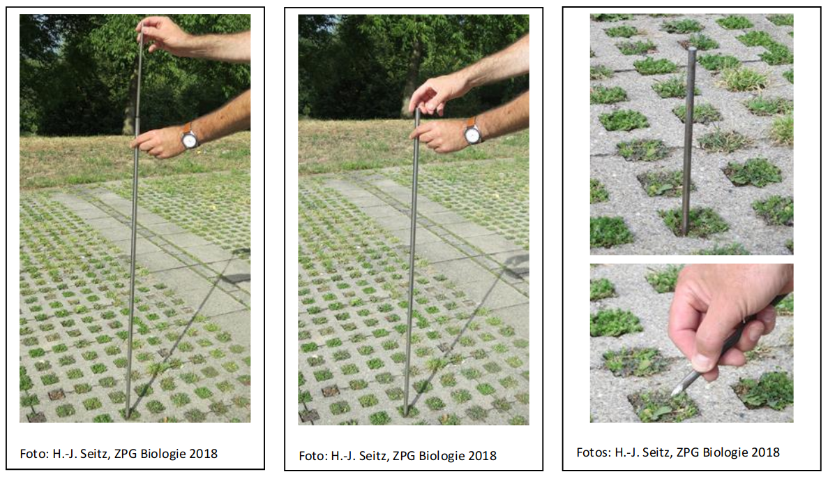 Versuchsdurchführung