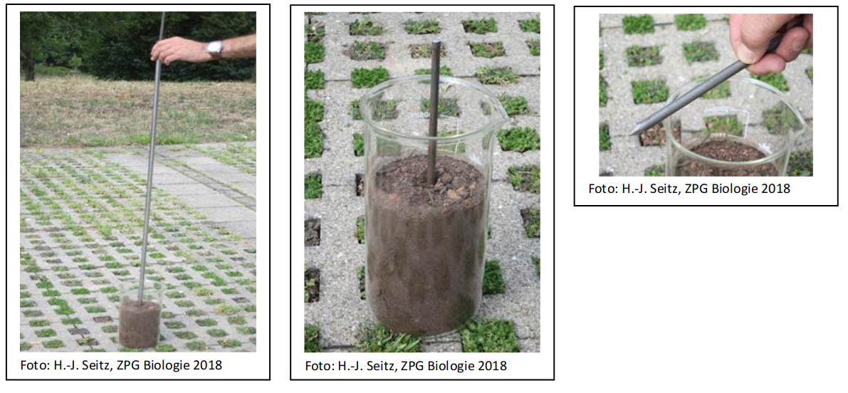 Versuchsdurchführung Vergleich