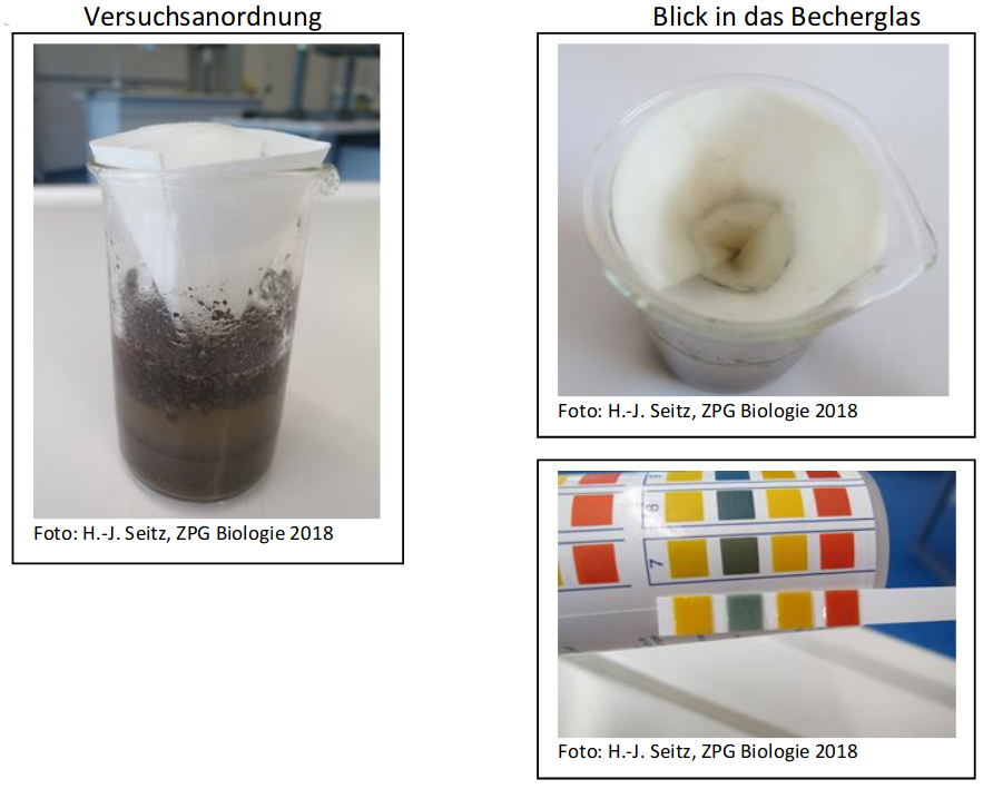 Versuchsdurchführung