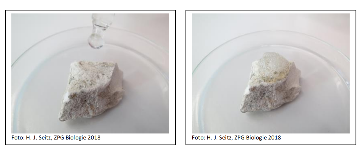 Vergleich mit kalkhaltigem Gestein