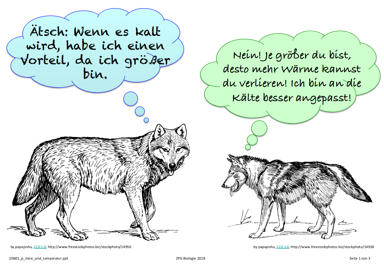 Präsentation Tiere und Temperatur
