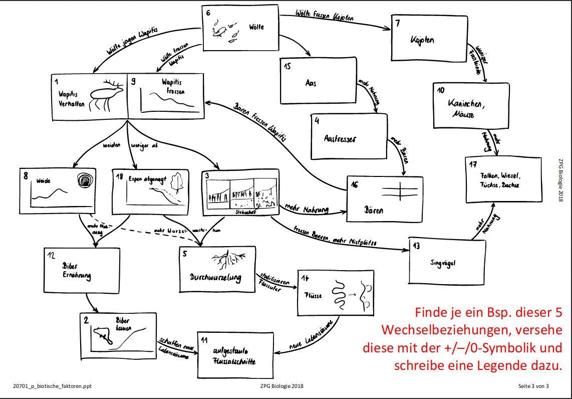 Präsentation biotische Faktoren