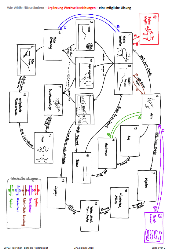 Ergänzungskärtchen