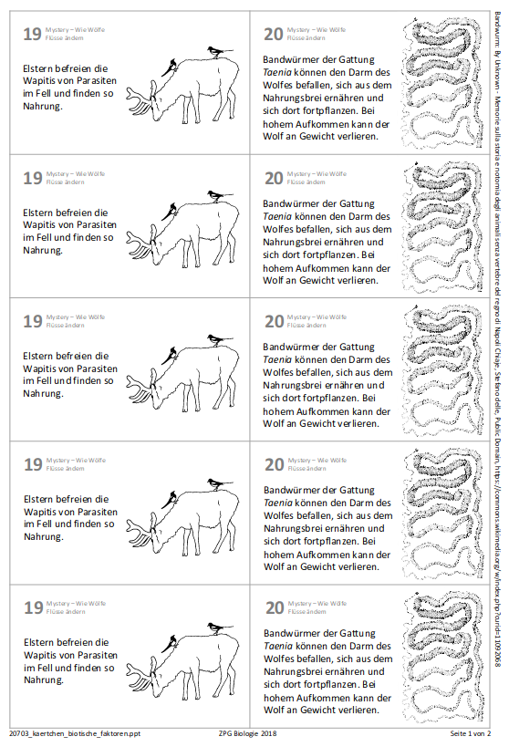 Ergänzungskärtchen