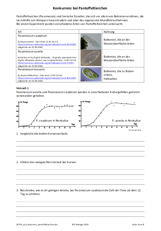 AB Konkurrenzausschlussprinzip