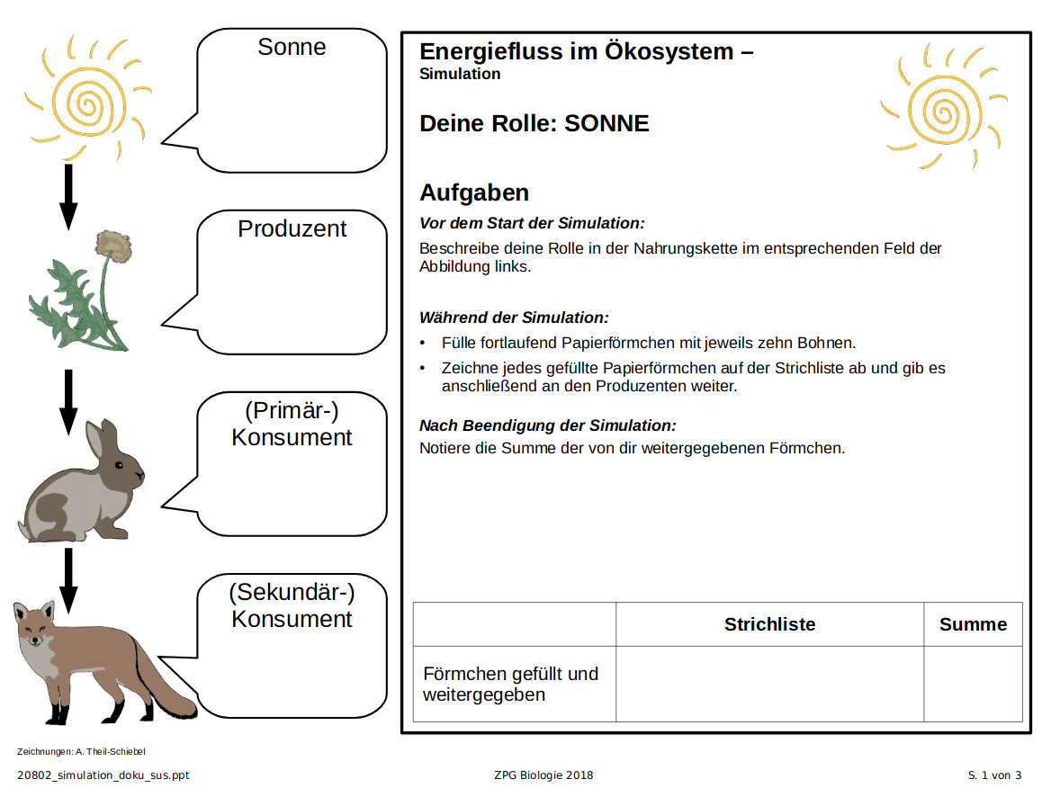 Simulation: Dokumentationsbogen