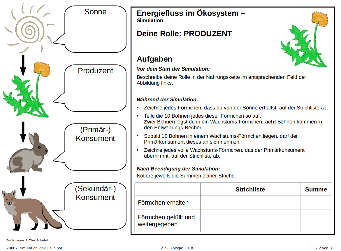 Simulation: Dokumentationsbogen