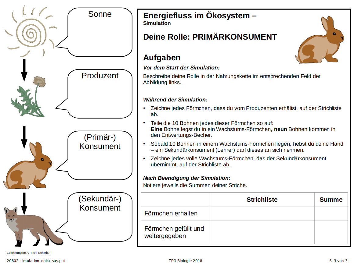 Simulation: Dokumentationsbogen