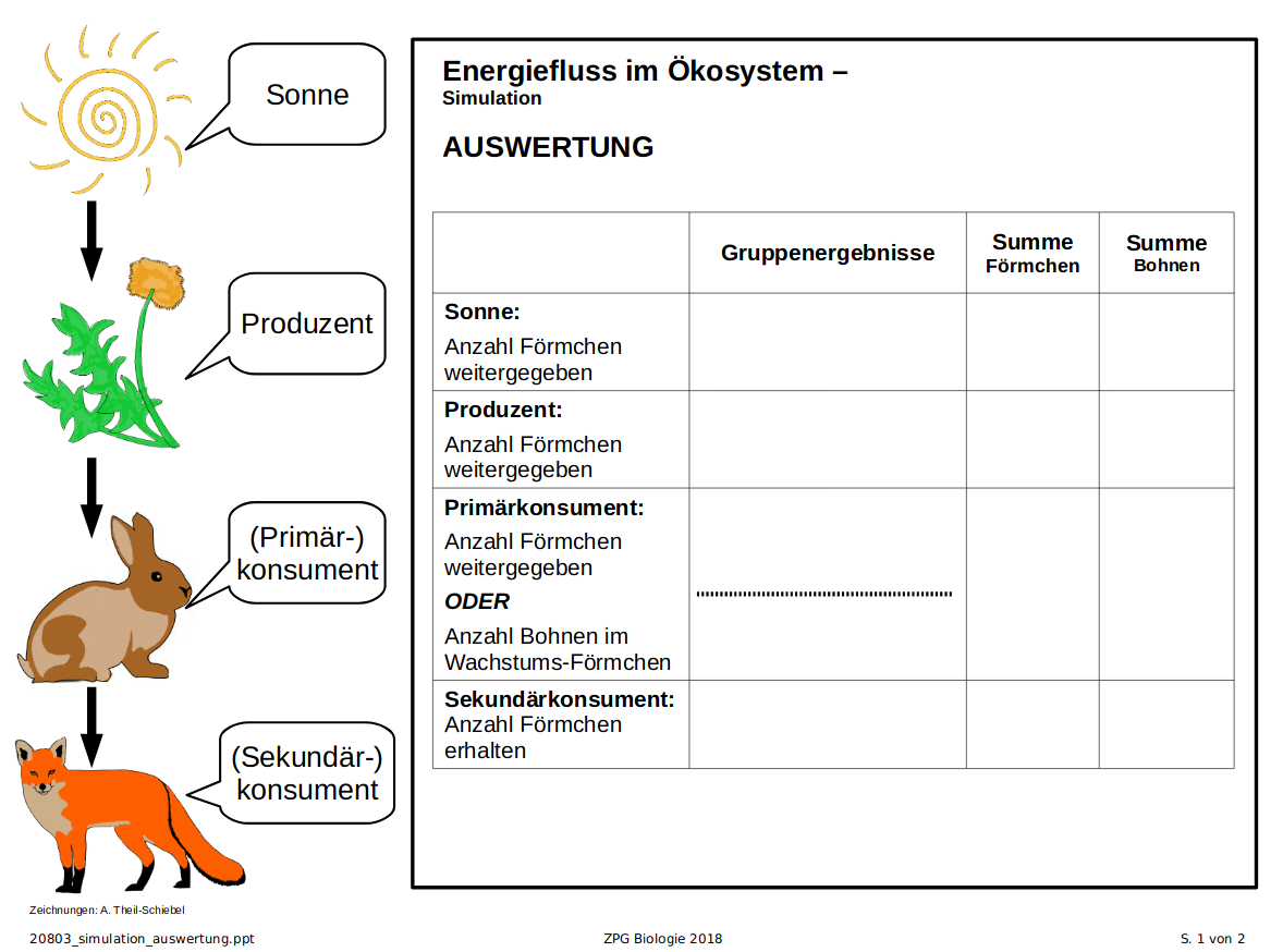 Simulation: Auswertung