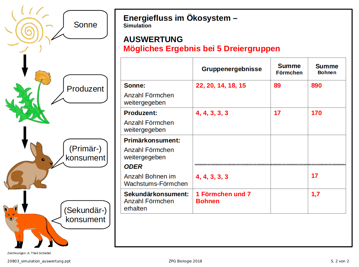 Simulation: Auswertung