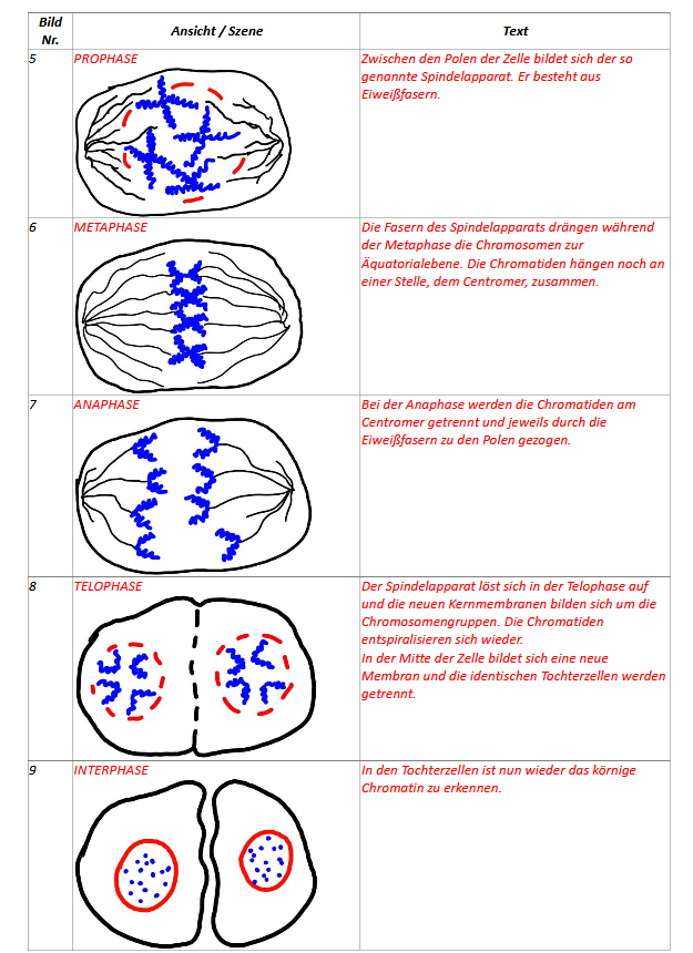 Lösungsvorschlag Seite 2