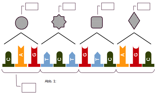 Abb. 1