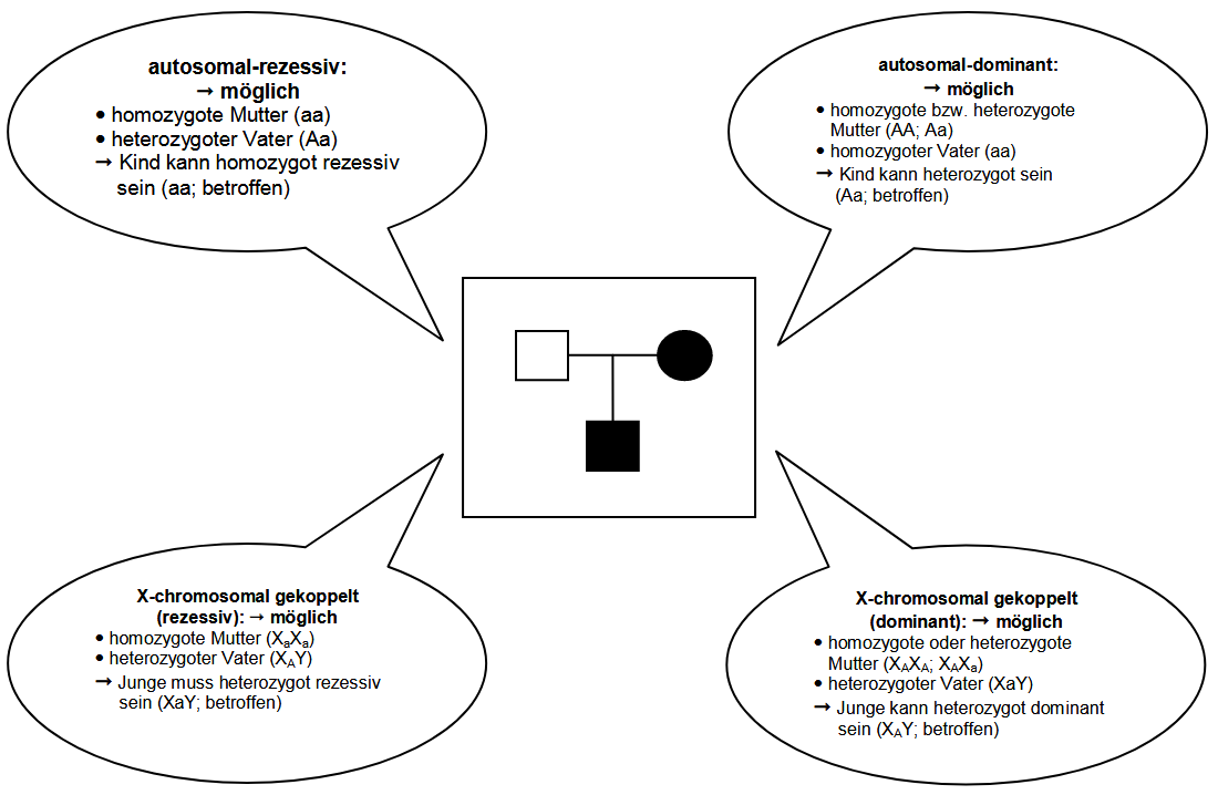 Lösungsvorschlag Aufgabe 1