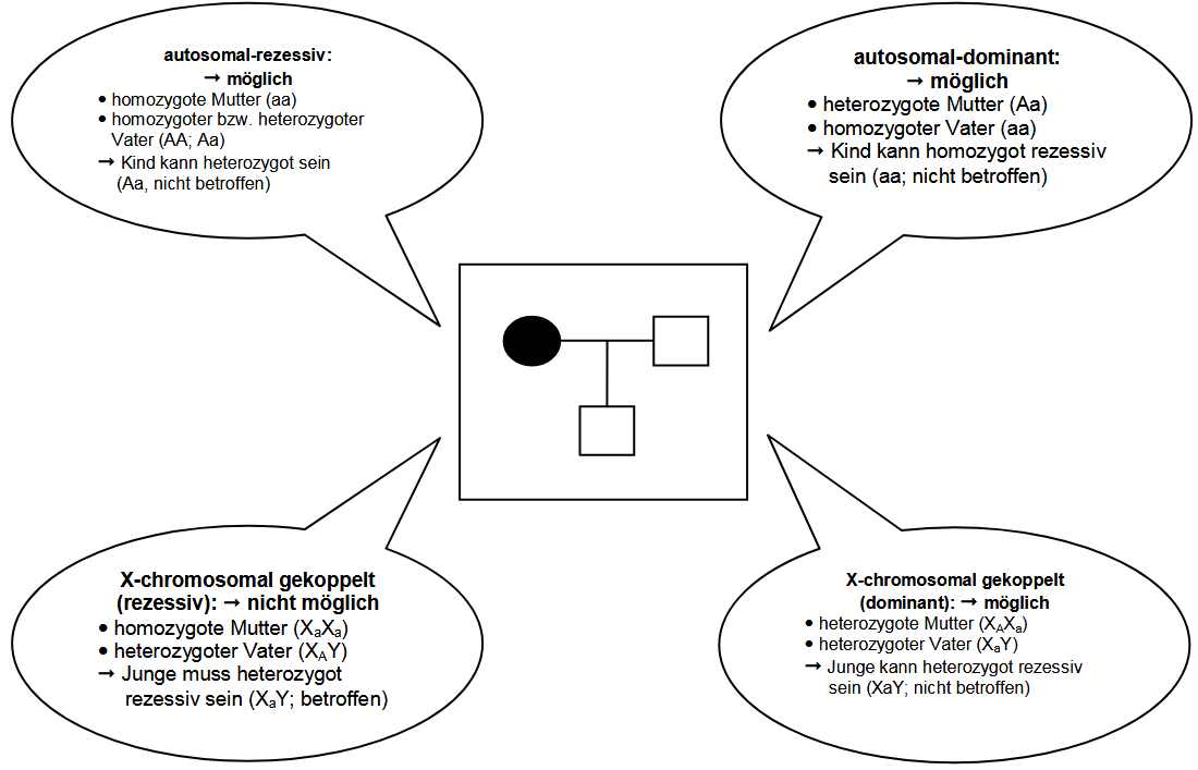 Lösungsvorschlag Aufgabe 2