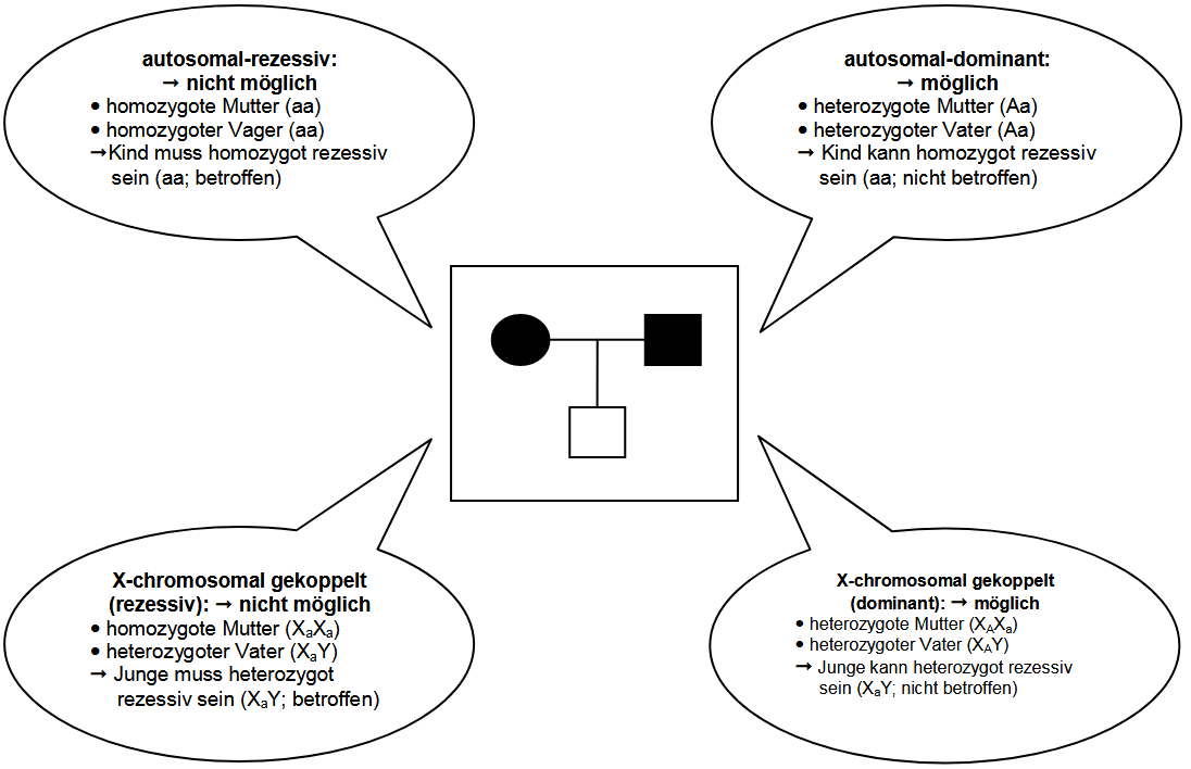 Lösungsvorschlag Aufgabe 3