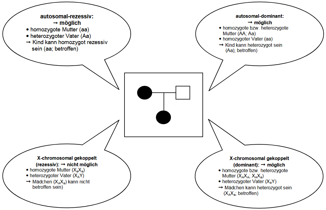 Lösungsvorschlag Aufgabe 4