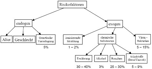 Risikofaktoren