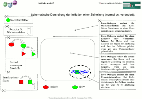 Arbeitsblatt Ansicht