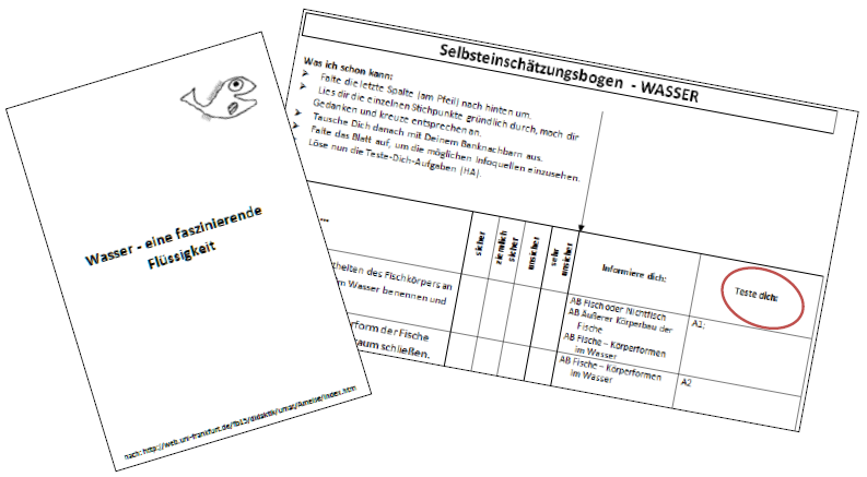 Formative Elemente 2