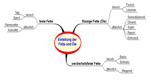 MindMap Fette