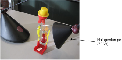 Aufbau des Experiments