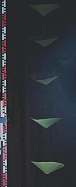 Fallbewegung mit Stroboskop