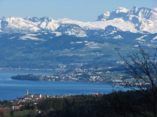 Au_Halbinsel_-_Zürichsee_-_Albis_Baldern_IMG_5318.jpg