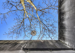 urban (cc) Martin Fisch