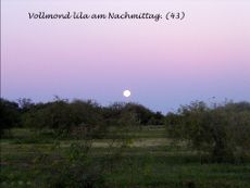 Lila Himmel mit Vollmond am Nachmittag