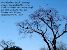 umgeben von Zopiloten