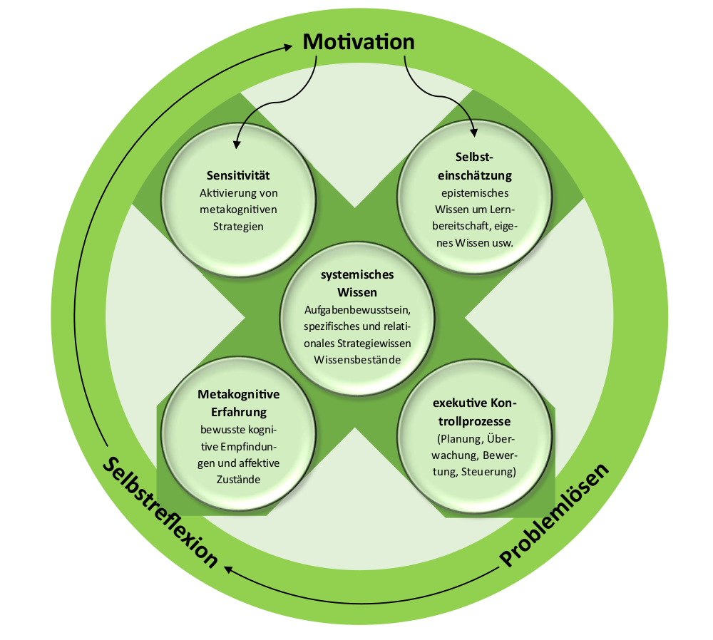 Übersichtsschaubild Metakognition. Es geht hierbei um Problemlösen, Selbstreflexion und Motivation. Wichtige Begriffe sind hierbei: Sensitivität, Selbsteinschätzung, systemisches Wissen, Metakognitive Erfahrung und exekutive Kontrollprozesse