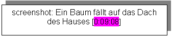 Textfeld: screenshot: Ein Baum fällt auf das Dach des Hauses [0:09:08]