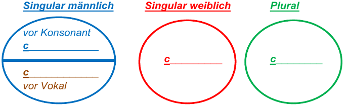 Regeln Demonstrativbegleiter