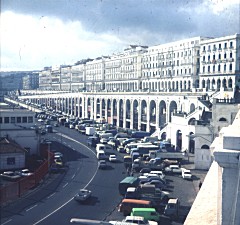 alger1