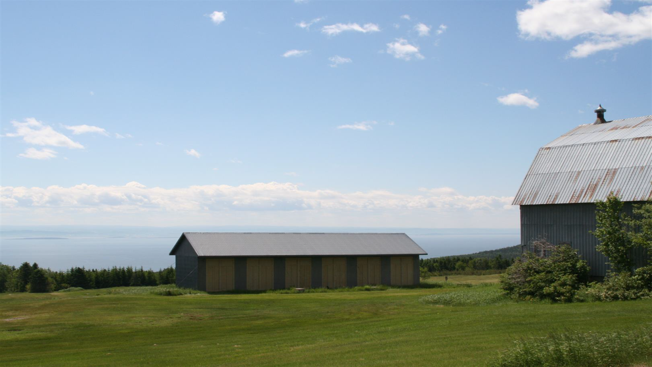 Zwei Scheunen stehen auf einer grünen Wiese mit Blick auf einen weiten, blauen Himmel und das Wasser in der Ferne