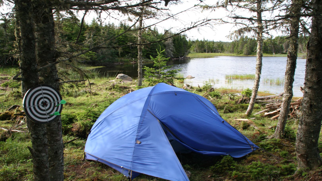Ein blaues Zelt steht am Ufer eines Sees, in unberührter Natur, umgeben von Wald
