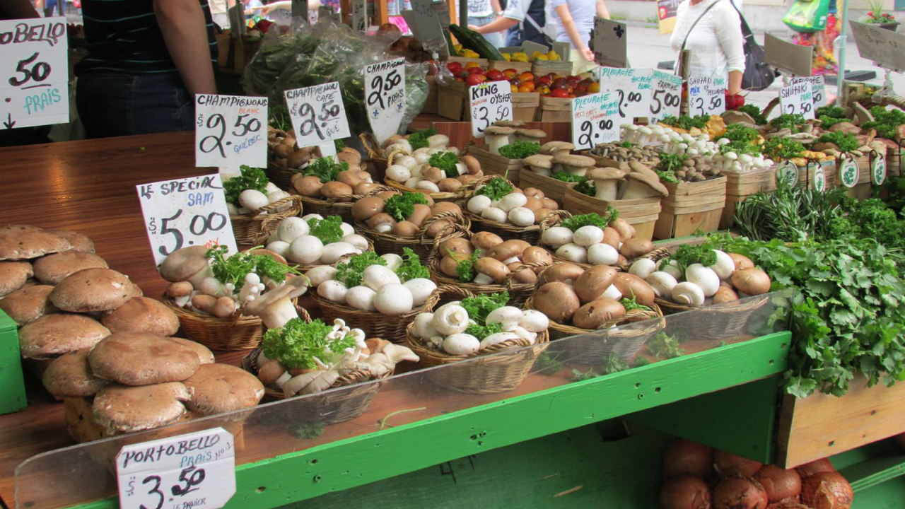 Marktstand mit einer Vielzahl von frischen Pilzen, Kräutern