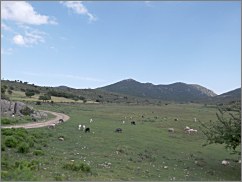 l_interno_dell_isola