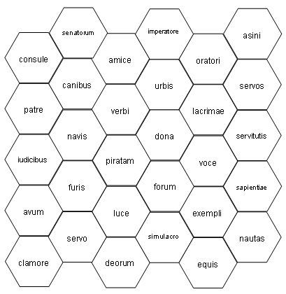 Bild: Begriffe in Waben
