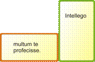 Intellego multum te profecisse.png